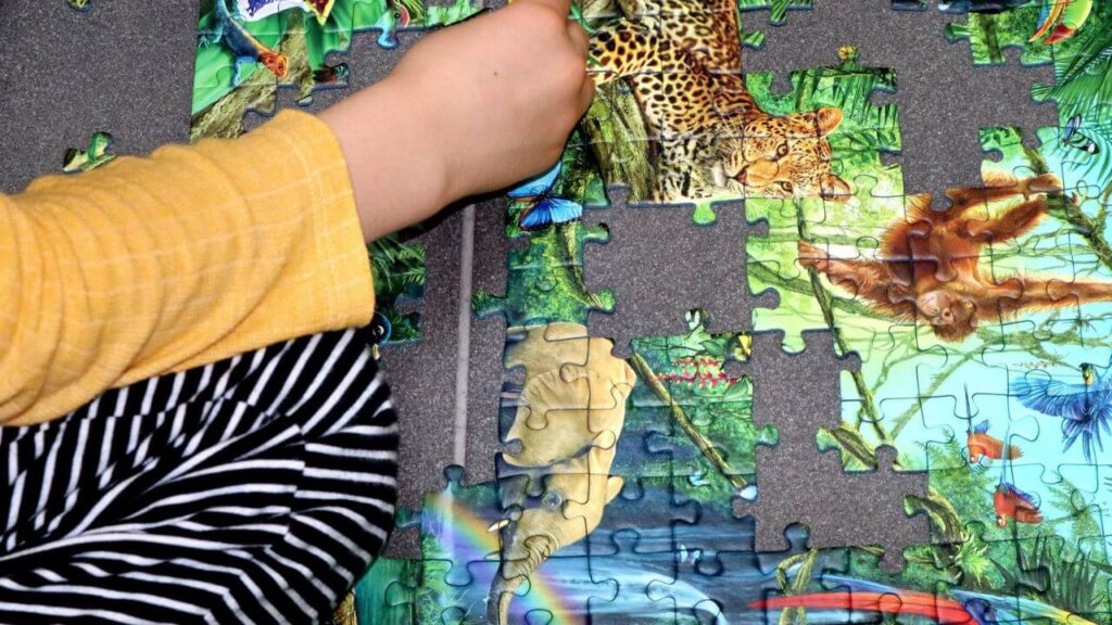 Избор на сложувалка за сите возрасти