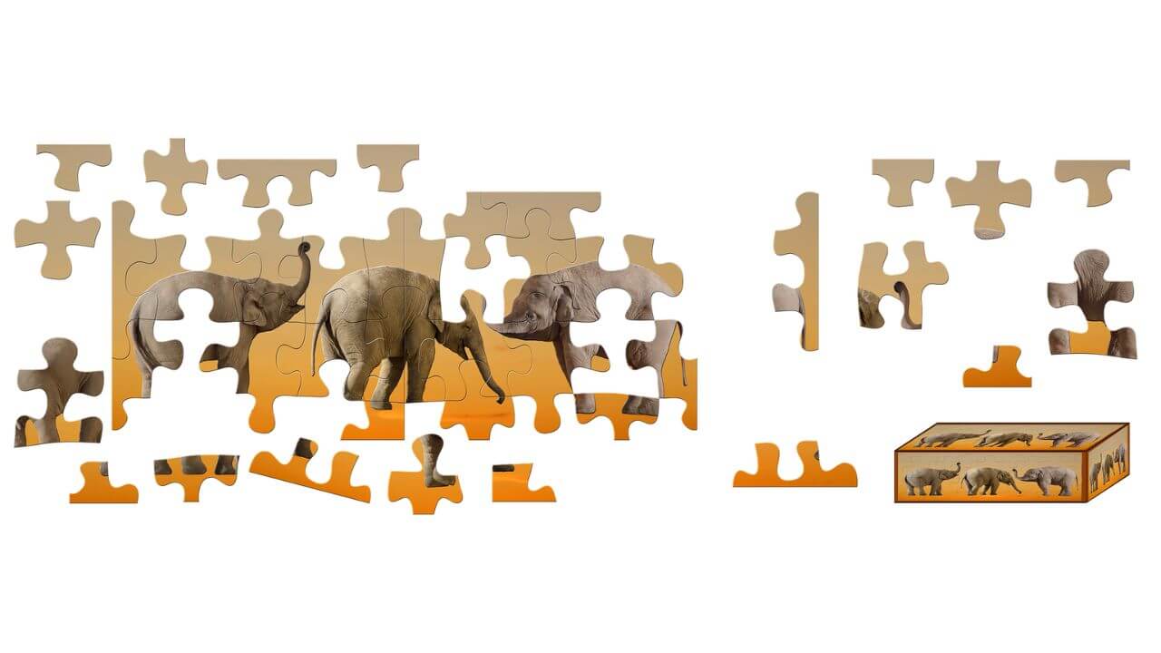 Историјата на Сложувалките