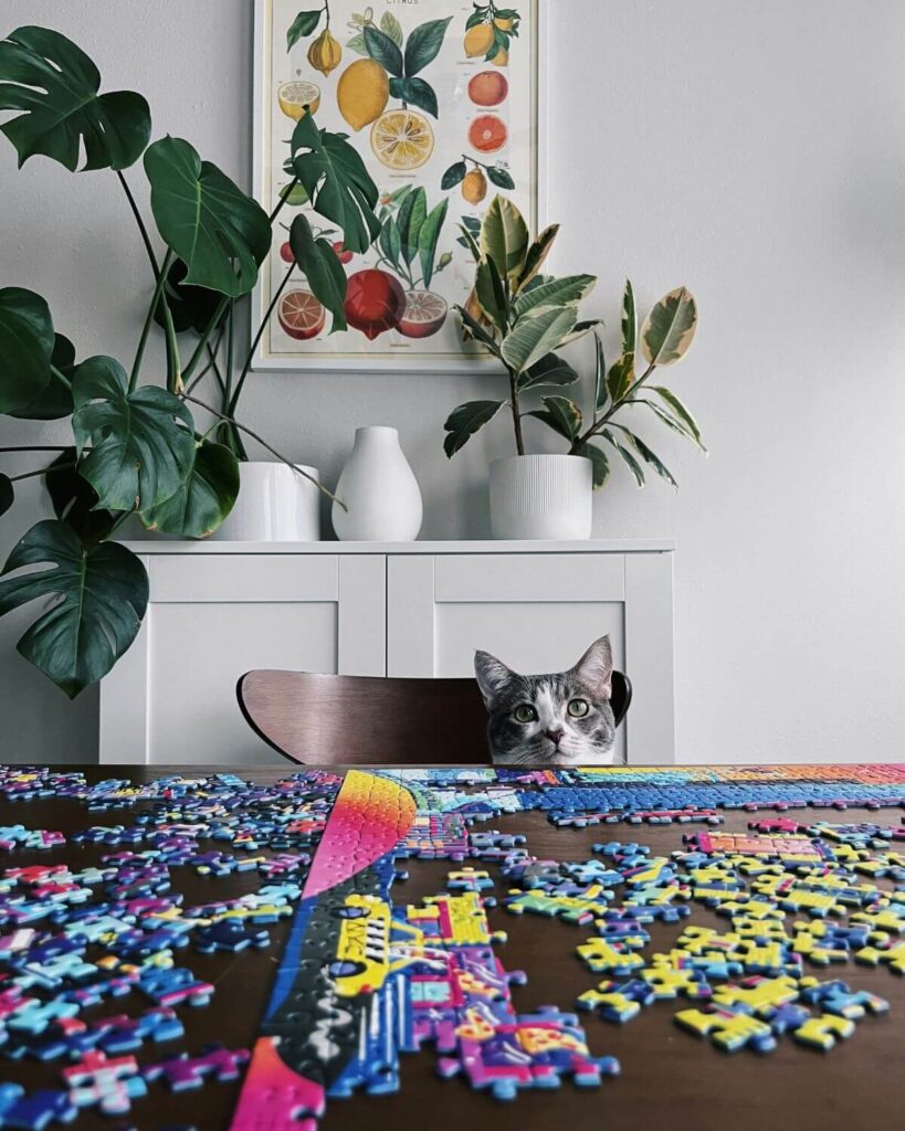 Како да изберете сложувалка како подарок