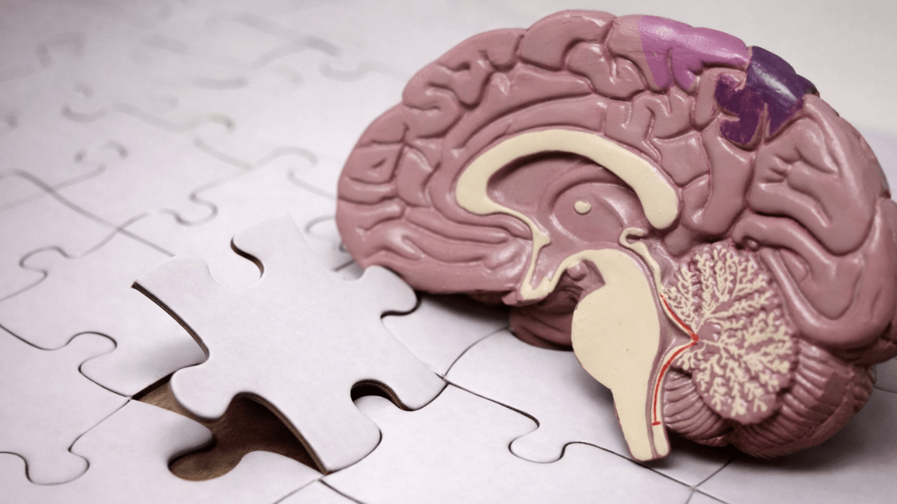 Когнитивни Бенефити од сложувалки